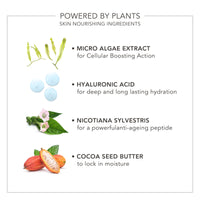 Wake Up | Radiant Eye Perfector